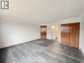 335 Detroit St in Windsor, ON - Foto de edificio - Building Photo