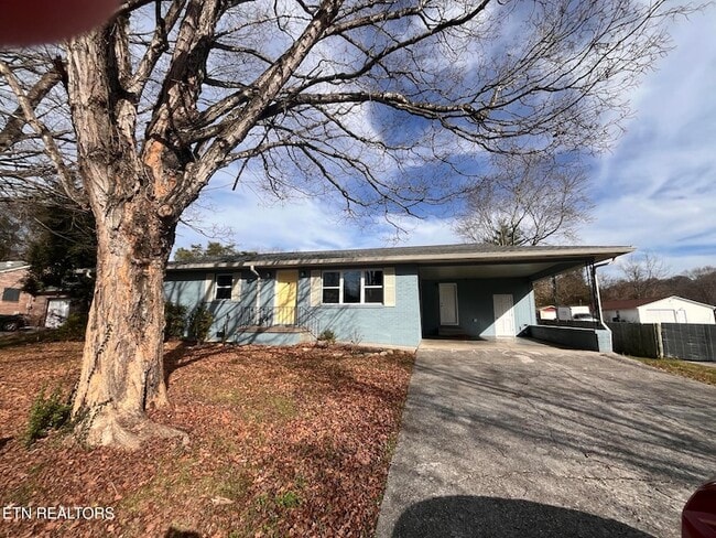 3408 Hackberry Rd in Knoxville, TN - Building Photo - Building Photo