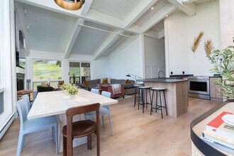 360 Wood Rd in Aspen, CO - Building Photo - Building Photo