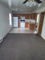 605 Bremer St, Unit Unit C in Wilmington, IL - Building Photo