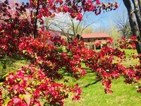 St. Andrews Apartments photo'