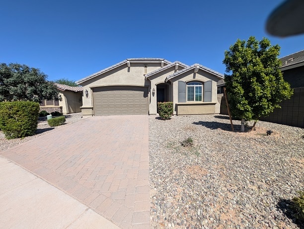 41390 W Carlisle Ln in Maricopa, AZ - Building Photo - Building Photo
