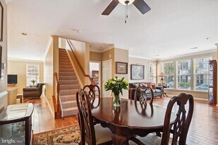 43074 Old Gallivan Terrace in Ashburn, VA - Building Photo