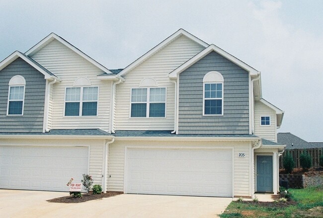 205 Clusters Cir in Mooresville, NC - Building Photo - Building Photo