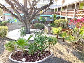 Oak Ridge Apartments in McAllen, TX - Building Photo - Building Photo