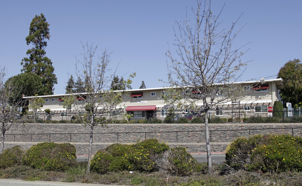 Pacifica Apartments in Hayward, CA - Building Photo