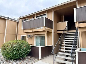 3855 E Leonesio Dr in Reno, NV - Building Photo