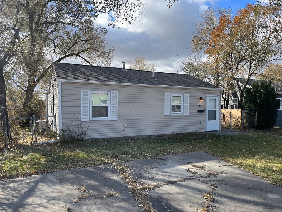 231 E Saint Patrick St in Rapid City, SD - Building Photo