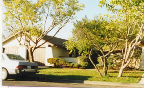 167 Eddy Dr in Santa Rosa, CA - Foto de edificio - Building Photo