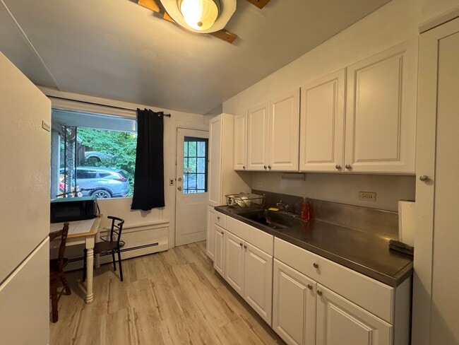 103 College Ave (2026-2027) in Ithaca, NY - Building Photo - Building Photo