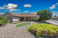 3659 W Elgin St in Chandler, AZ - Building Photo - Building Photo