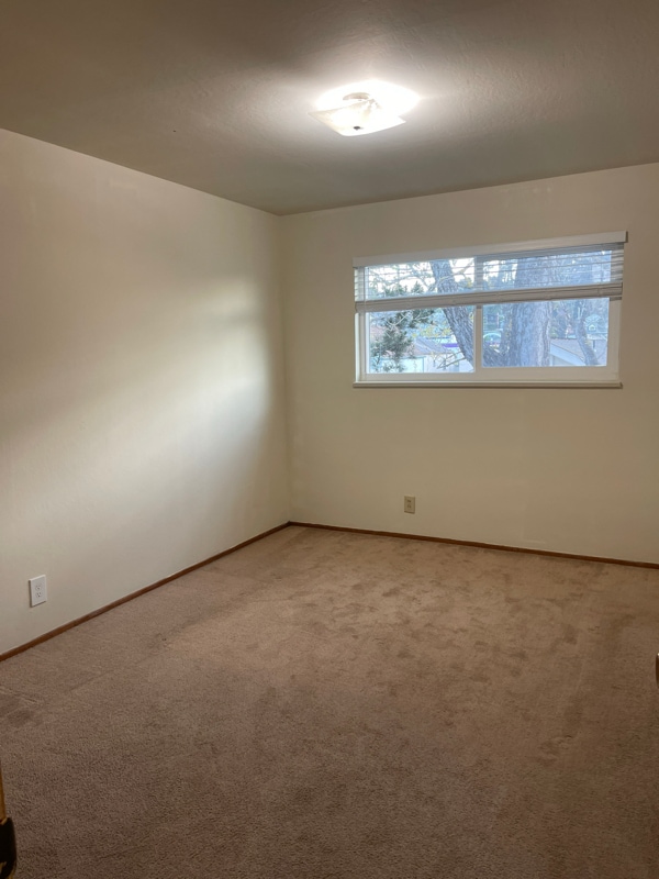 632 Stannage Ave in Albany, CA - Building Photo - Building Photo