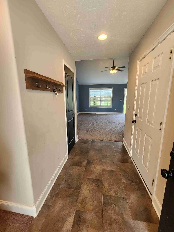 429 St Cloud Ct in Bowling Green, KY - Building Photo - Building Photo