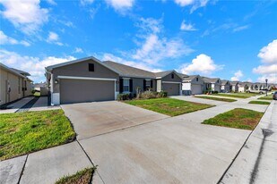 18276 Turning Leaf Cir in Land O Lakes, FL - Building Photo