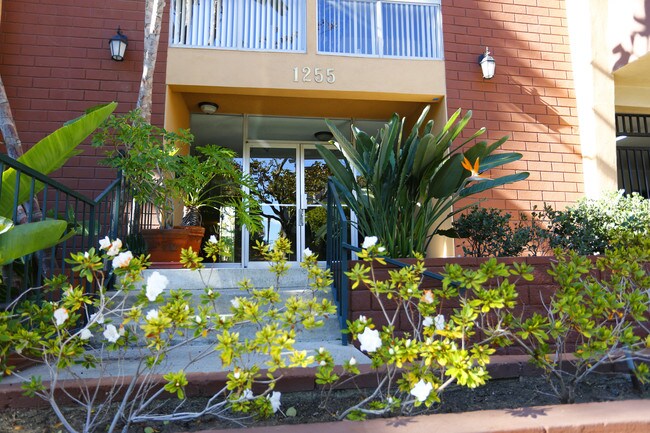 1255 N Kings Rd in West Hollywood, CA - Building Photo - Building Photo