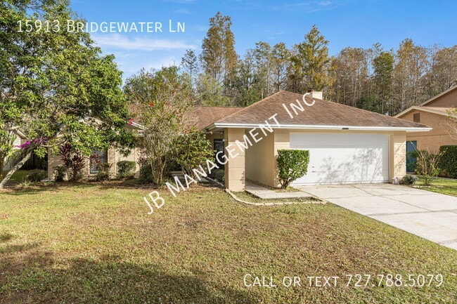 15913 Bridgewater Ln in Tampa, FL - Building Photo - Building Photo