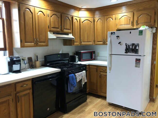 338 K St in Boston, MA - Building Photo - Building Photo
