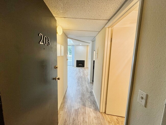 3715 S Canfield Ave, Unit 203 in Los Angeles, CA - Building Photo - Building Photo