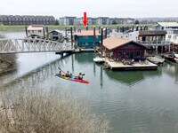 11638 N Island Cove Ln