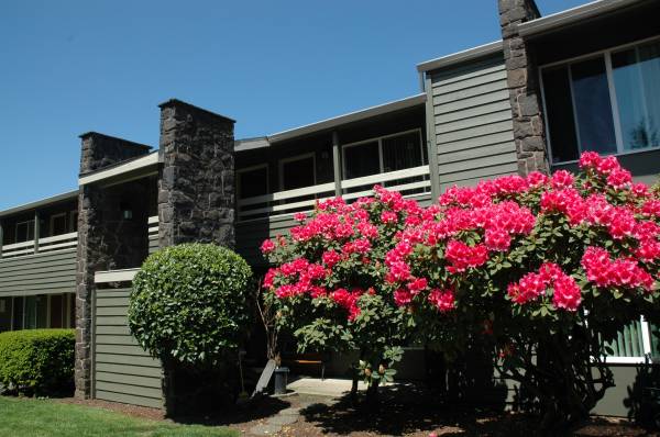 White Willow Apartments in Portland, OR - Building Photo - Building Photo