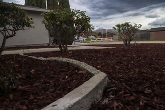 3173 Barletta Ln in San Jose, CA - Building Photo - Building Photo