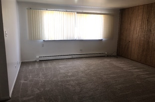 3913 W 124th Pl in Alsip, IL - Building Photo