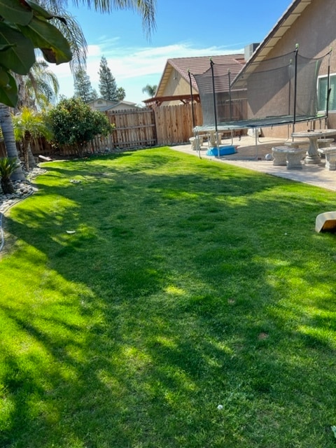 478 Molly Ct in Shafter, CA - Building Photo - Building Photo