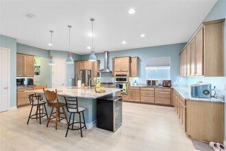 16377 Orange Seed Ln in Oakland, FL - Building Photo - Building Photo