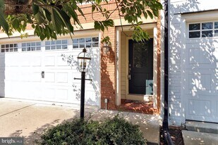 22219 Falling Terrace in Ashburn, VA - Building Photo