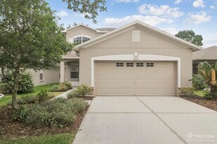 10031 Landport Way in Land O Lakes, FL - Building Photo