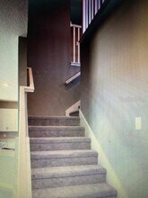 11539 Gallatin Trl in Parrish, FL - Building Photo - Building Photo