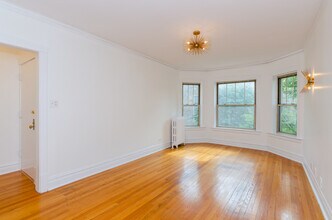 407 S East Ave in Oak Park, IL - Building Photo - Building Photo
