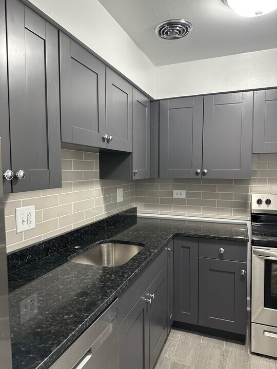 1302 Carol St, Unit TWO BEDS in Park Ridge, IL - Building Photo