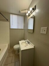 Race Street Apartments in Denver, CO - Building Photo - Building Photo