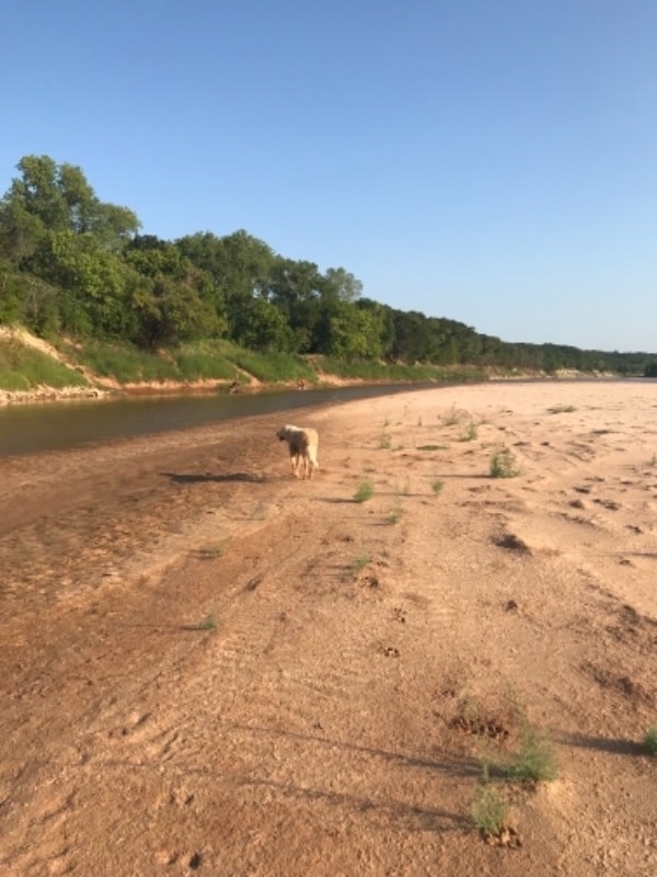 property at 4411 County Rd 127