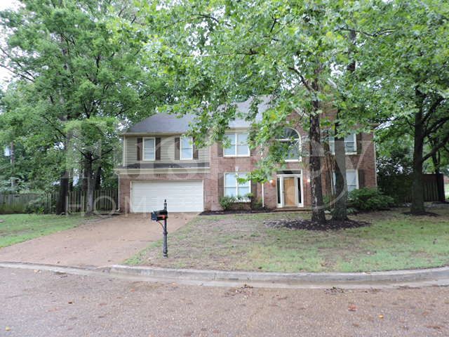 8554 Mill Farm Cove in Memphis, TN - Building Photo