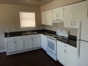 1113 Primrose Ave in McAllen, TX - Building Photo - Building Photo