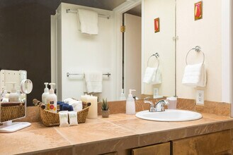 1200 Hollow Creek Dr, Unit SI ID1054229P in Austin, TX - Building Photo - Building Photo