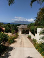 203 Heleuma Pl in Kihei, HI - Building Photo