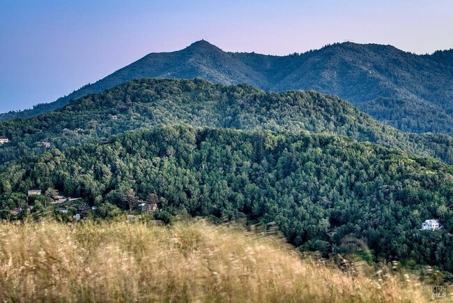 162 Throckmorton Ave