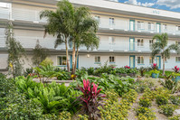 Sailpointe Apartments in South Pasadena, FL - Foto de edificio - Building Photo