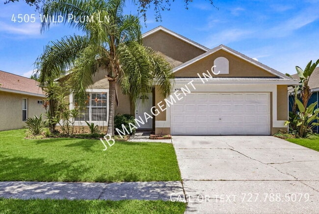 property at 4505 Wild Plum Ln