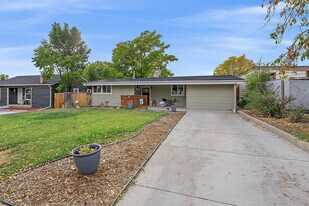 7911 Raleigh Pl in Westminster, CO - Building Photo