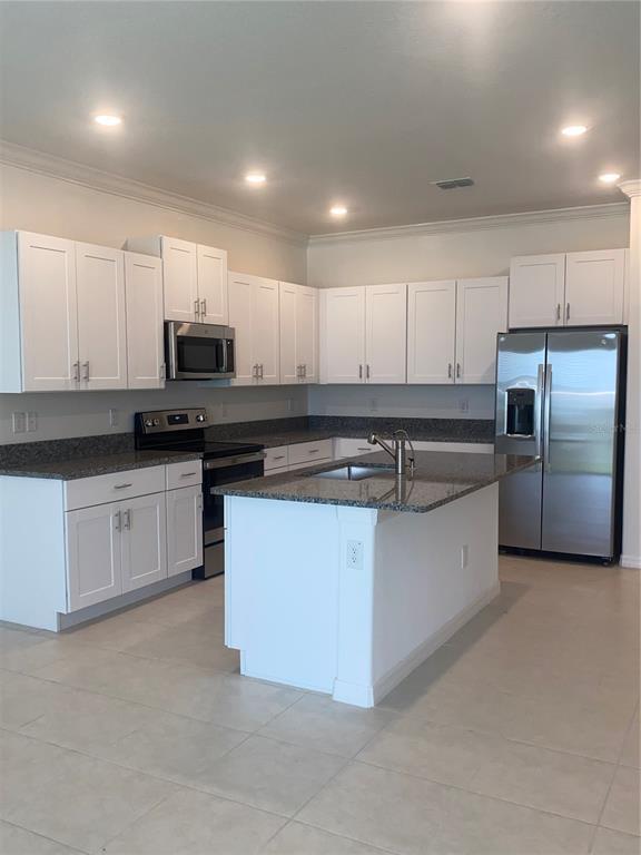 31763 Blue Passing Loop in Wesley Chapel, FL - Building Photo - Building Photo