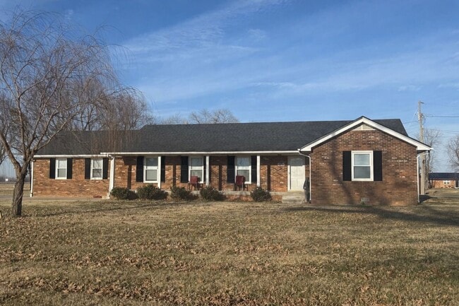 property at 215 Lindy Ln