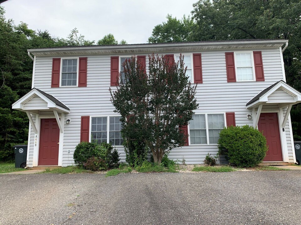 448 Three Creeks Ct in Lynchburg, VA - Building Photo