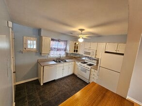 229 Johnson St in Palatine, IL - Building Photo - Building Photo