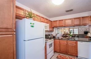 1393 Cadhay Ct in Safety Harbor, FL - Building Photo - Building Photo