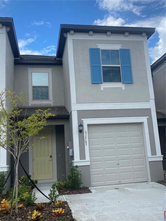 31763 Blue Passing Loop in Wesley Chapel, FL - Building Photo
