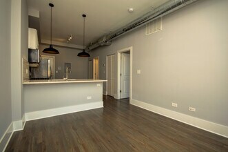 2007 S Allport St in Chicago, IL - Building Photo - Building Photo